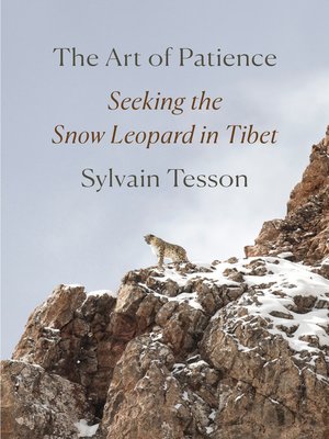 cover image of The Art of Patience